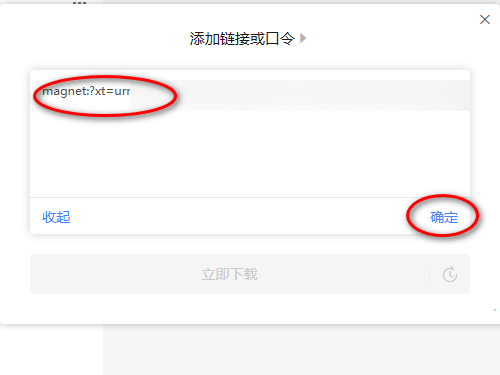 迅雷11怎么使用磁力链接？迅雷11使用磁力链接教程截图